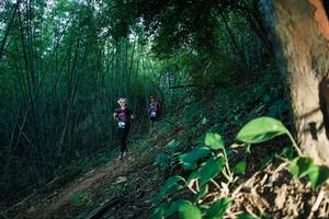 BIB: 
                            <button type="button" onclick="openModal(28124670)" class="btn btn-primary btn-sm float-right btn-popup" data-toggle="modal" data-target=".modal-high-quality">
                        <i class="fas fa-shopping-cart"></i> Add to Cart
                    </button>
                                            <button type="button" onclick="isThisMe(28124670, true)" class="btn btn-success btn-sm float-right btn-popup btn-isme hidden" data-toggle="tooltip" data-placement="bottom" title="นี่คือรูปของคุณใช่ไหม คลิกที่นี่เพื่อเอาเข้าอัลบั้ม">
                        <i class="fas fa-plus"></i> Add to album
                    </button>
                    <button type="button" onclick="isThisMe(28124670, false)" class="btn btn-warning btn-sm float-right btn-popup btn-isnotme hidden">
                        <i class="fas fa-ban"></i> Remove from album
                    </button>